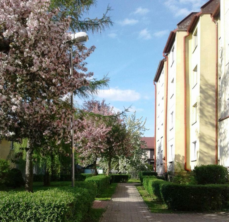 Apartament Jasminowy Διαμέρισμα Kudowa-Zdrój Εξωτερικό φωτογραφία
